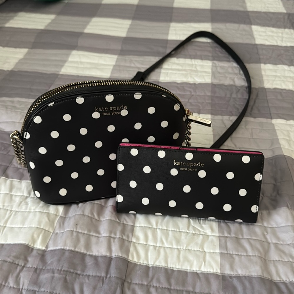 Kate Spade Crossbody and Wallet Set